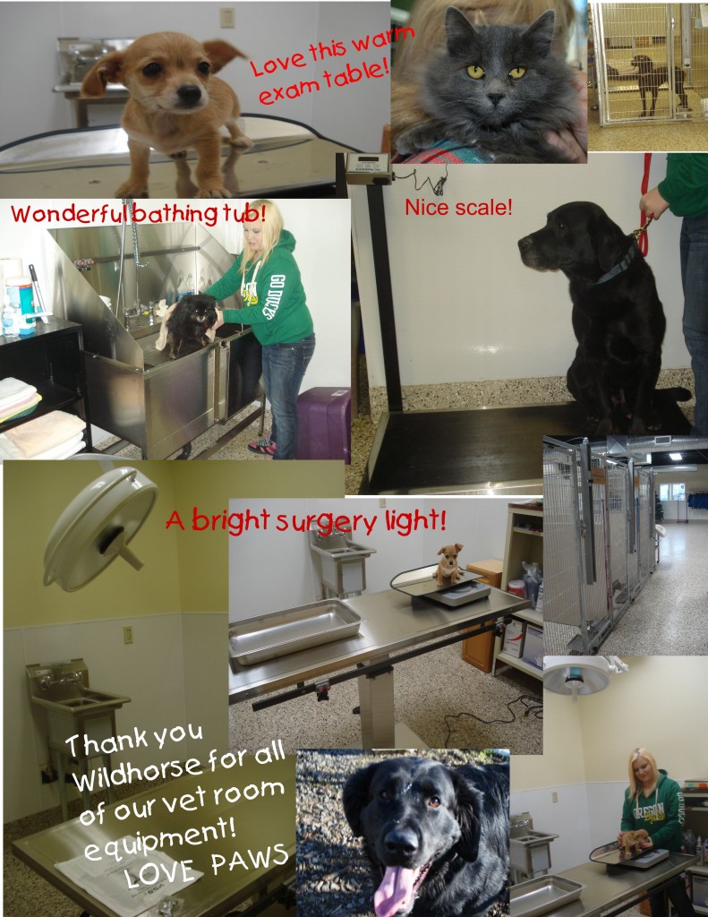 Fall 2012 Wildhorse Foundation Grant