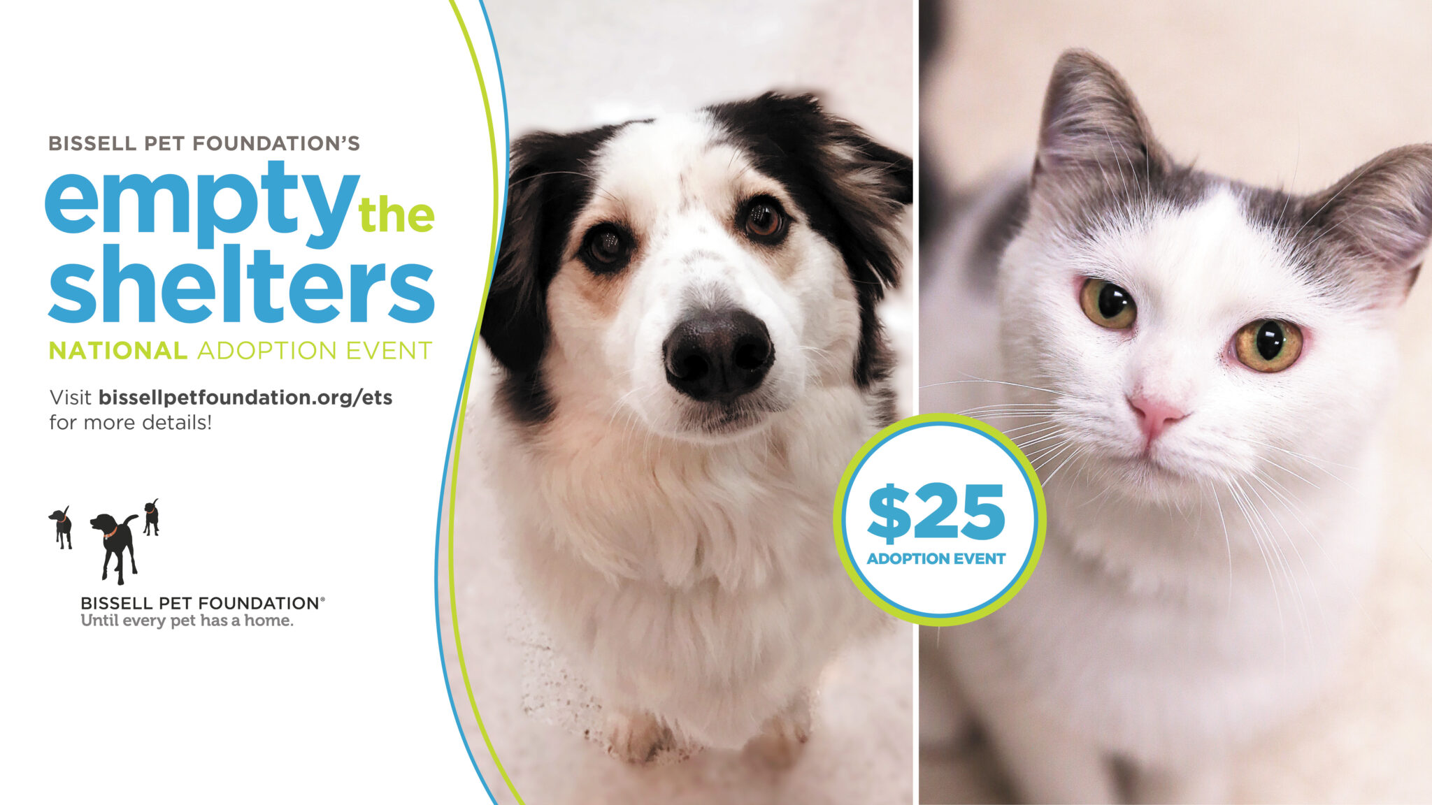 PAWS News PAWS Pendleton Animal Welfare Shelter